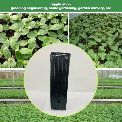 Quality Plastic 7.8 Tree Shoots Pots Tall Tree Pots Plastic Deep Nursery Treepo - Bild 19 von 36
