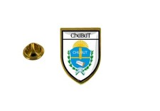 pins pin badge pin's souvenir ville drapeau pays blason chubut argentine