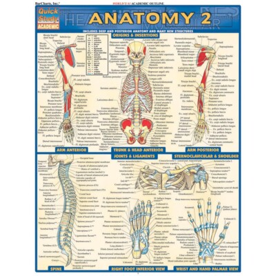 QuickStudy Bar Chart: Anatomy 2