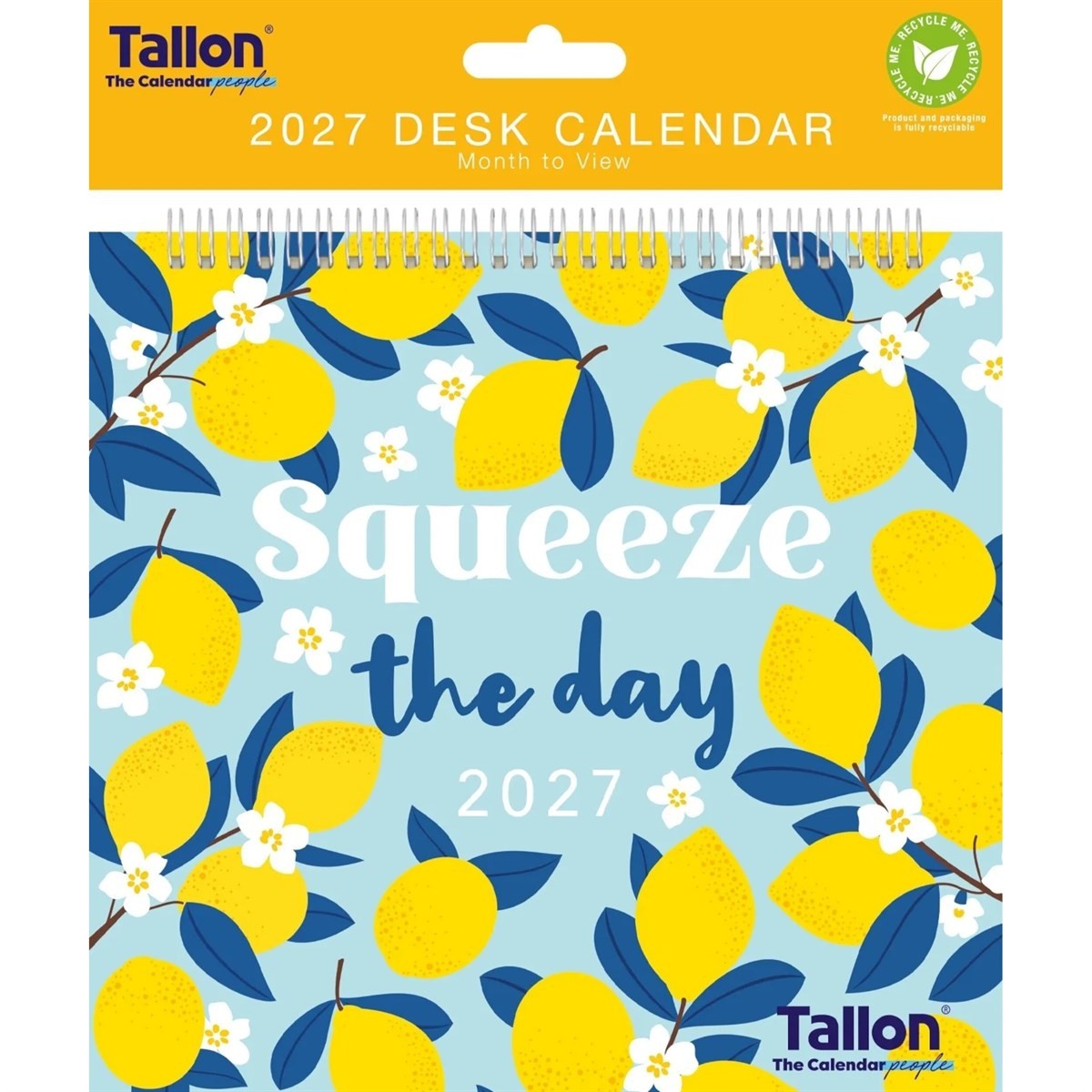 Squeeze The Day Easel Desk Calendar 2027, Desk Calendars, Month To View, Gift