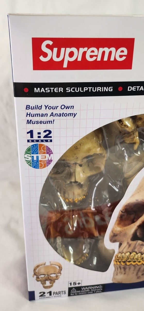 supreme 4D Model Human Skull 新品未使用 SUPREME 4D MODEL HUMAN SKULL – Trade Point_HK