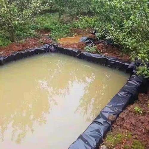 20'x30' Flexible Water Garden Fish Pond Liner Impermeable Junta Espesor 12mil - Imagen 14 de 18