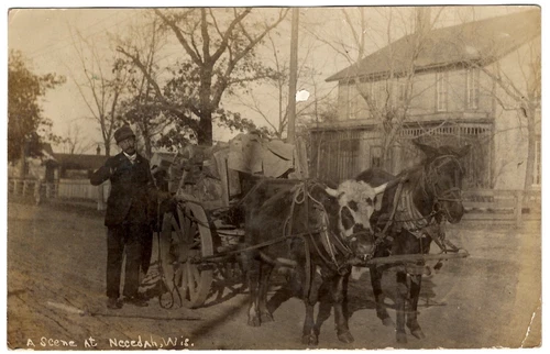 1909 Necedah WISCONSIN WI JUNEAU County RPPC Postcard Ox AND Horse drawn wagon