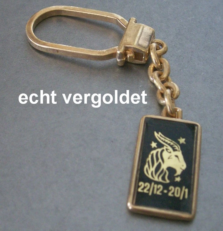 MARKENLOS SCHLÜSSELANHÄNGER STERNZEICHEN STEINBOCK CAPRICORN VERGOLDET KEYCHAIN STAR SIGN