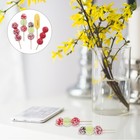 5 Pieces Küche Spielzeug Küchen Lebensmittelspielzeug Küchenzubehör Für Kinder