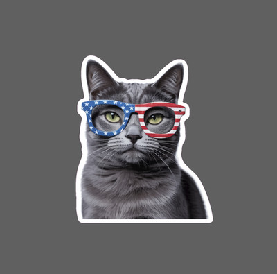 Cat USA Glasses Sticker Waterproof Decal American Flag Pet Animal Gift NEW