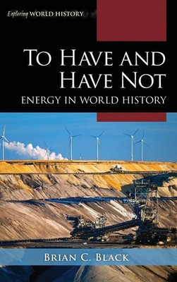 Brian C. Black | To Have and Have Not | Buch | Englisch (2022) | Gebunden