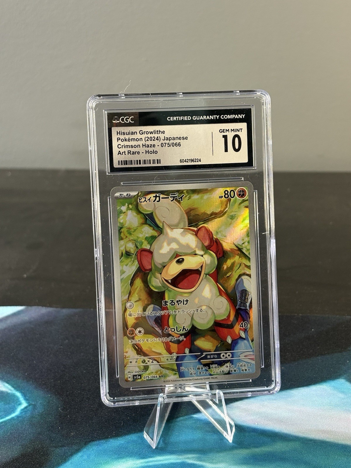 Hisuian Growlithe Pokémon (2024) Japanese Crimson Haze - 075/066 PSA 10