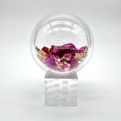 Sphere-Shaped Storage Container   Decorative Herb Keeper & Coffee Table Accent