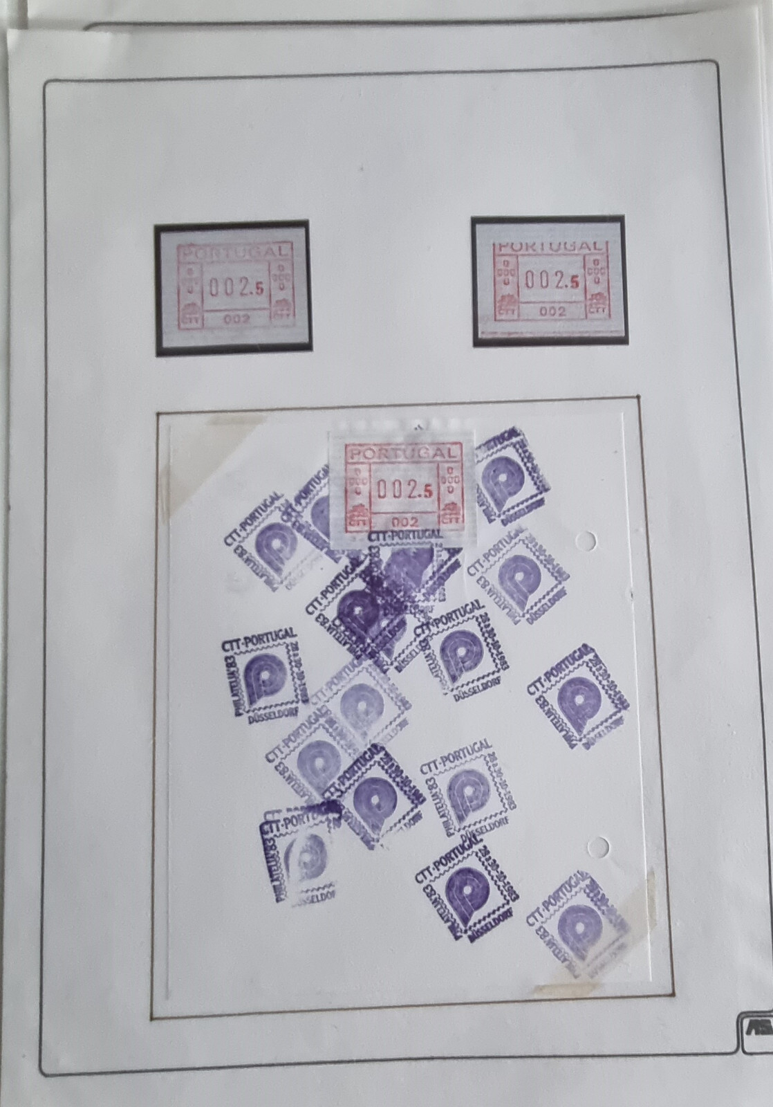 Picture 5 of 24
