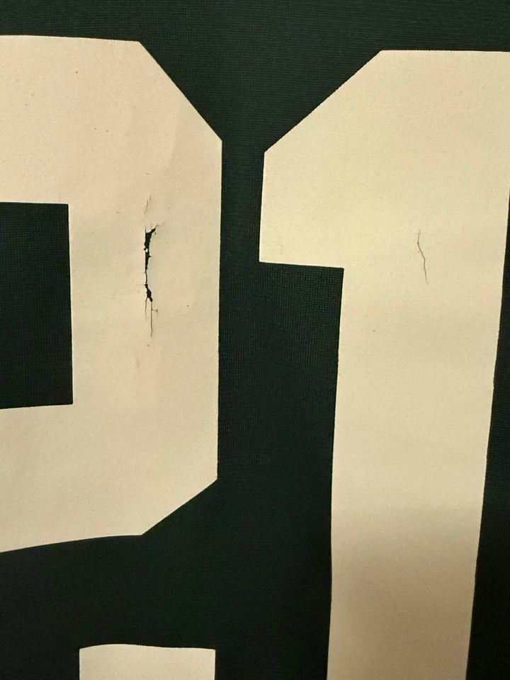 Camiseta masculina Green Bay Packers grande em campo 21 Charles Woodson Nike futebol - Imagem 3 de 4