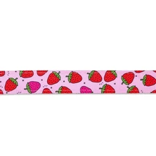 Max & Molly Smart ID Cat Collar (Strawberries)