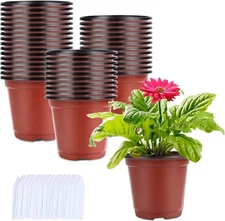 Augshy 250-Pack 4 Inch Plant Nursery Pots Seed Starting Pots Containers with 300