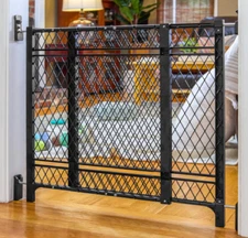 Ingenuity Doorway 42W Series Dog Baby Gate Indoor/Outdoor No Rust/Fade 24"H 23+W