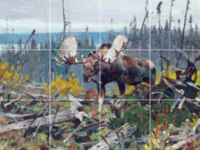 moose in a landscape deer wildlife western ceramic tile mural backsplash