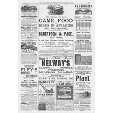 VICTORIAN ADVERTS Game Food, Steel Fencing, Lawn Mowers - Antique Print 1891