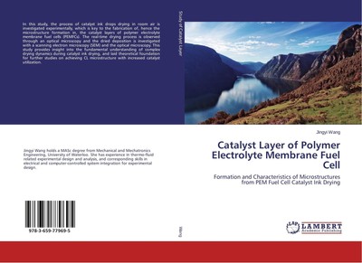 Jingyi Wang | Catalyst Layer of Polymer Electrolyte Membrane Fuel Cell | Buch