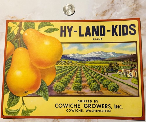 Antique Vintage 1940s Hy-Land-Kids Pears Crate Label, Cowiche, WA, Beautiful! - Picture 4 of 5