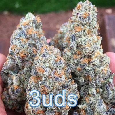 bud's vape Vape 510 Cartridges main image 1
