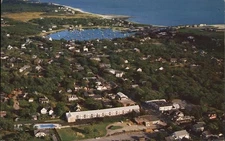 Cape Cod, Massachusetts MA The Harwich Port Cod Chrome Original Vintage Postcard