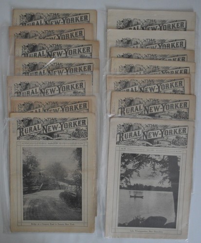 Vintage Rural New Yorker Newspaper Lot 1897–1938 Suburban & Country Home Weekly