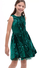 Rare Editions Girls Dress 16 Hunter Green Brocade Metallic Holiday Party NWT