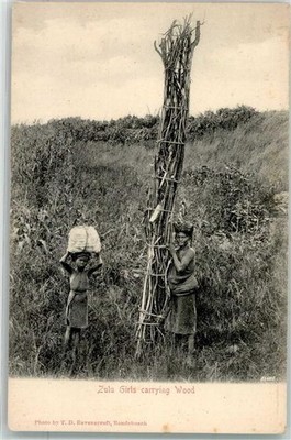13957216 - Zulu Girls carrying Wood Motiv Suedafrika