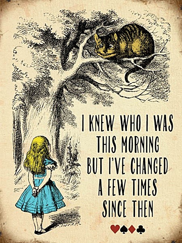 Alice In Wonderland I Knew Who I Was This Morning Small Steel Sign 200mm x 150mm