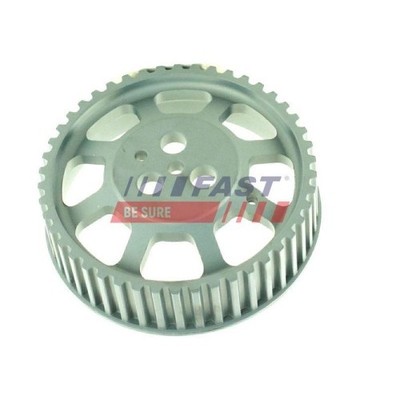Zahnrad Einspritzpumpe Fast FT45510 für Fiat Iveco