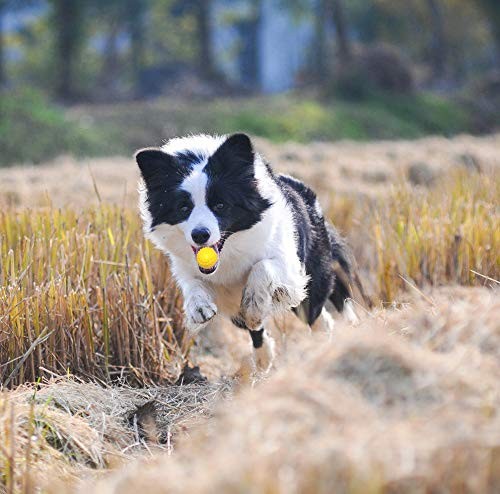 Rubber Dog Chewing Squeaky Ball Toys Fetch Play Toy for Puppy Small Medium Pe... - Picture 5 of 6