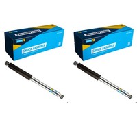 2X Bilstein B8 5100 Gas-StoßDÄMpfer Hinten Passend FüR Chevrolet Silverado