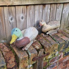 Vintage duck decoys ~ pair of Italian made mallard duck decoys, male and female