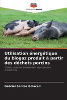 Gabriel Santos Bolacell | Utilisation éNergéTique Du Biogaz Produit à Partir...