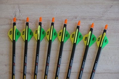 Skylon Archery Edge 6.2 Spine 400 Pfeil Extreme Carbon