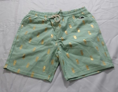 Drill Clothing Men's Pineapple Print Drawstring Swim Shorts EJ3 Mint/Gold Large 