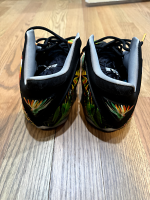 9/10 Size 11.5 - Nike LeBron 11 Everglades | eBay display picture 2