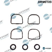 Dr.Motor Automotive DRM0109 Dichtungssatz FüR AnsaugkrüMmer FüR BMW