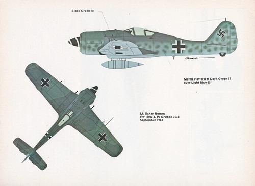Focke Wulf FW 190 Flugzeugbericht 10/16/2022j - Bild 7 von 8