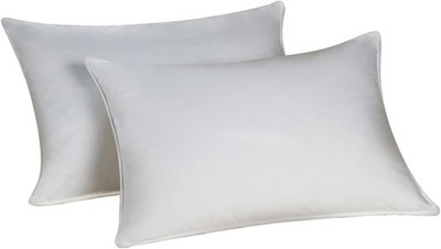 Resiloft Queen Pillow Set of 2 Featured at Many Hotels