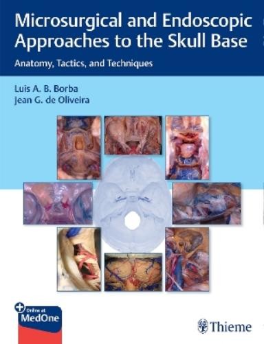 Luis Borba Jean Microsurgical and Endoscopic Approaches to (Mixed Media Product)