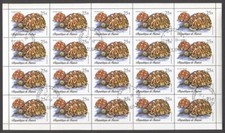 Fauna E01 Indian star tortoise REPTILES Turtle Sheet Guinea 1977