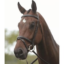 Kincade Flash Bridle II - Brown - Slight Seconds