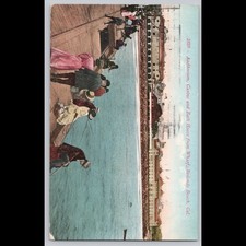 Antique Postcard Auditorium Casino Bath House Wharf Redondo Beach CA 1915