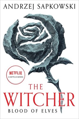 Blood of Elves (The Witcher, 3) - paperback Sapkowski, Andrzej|Stok, Danusia
