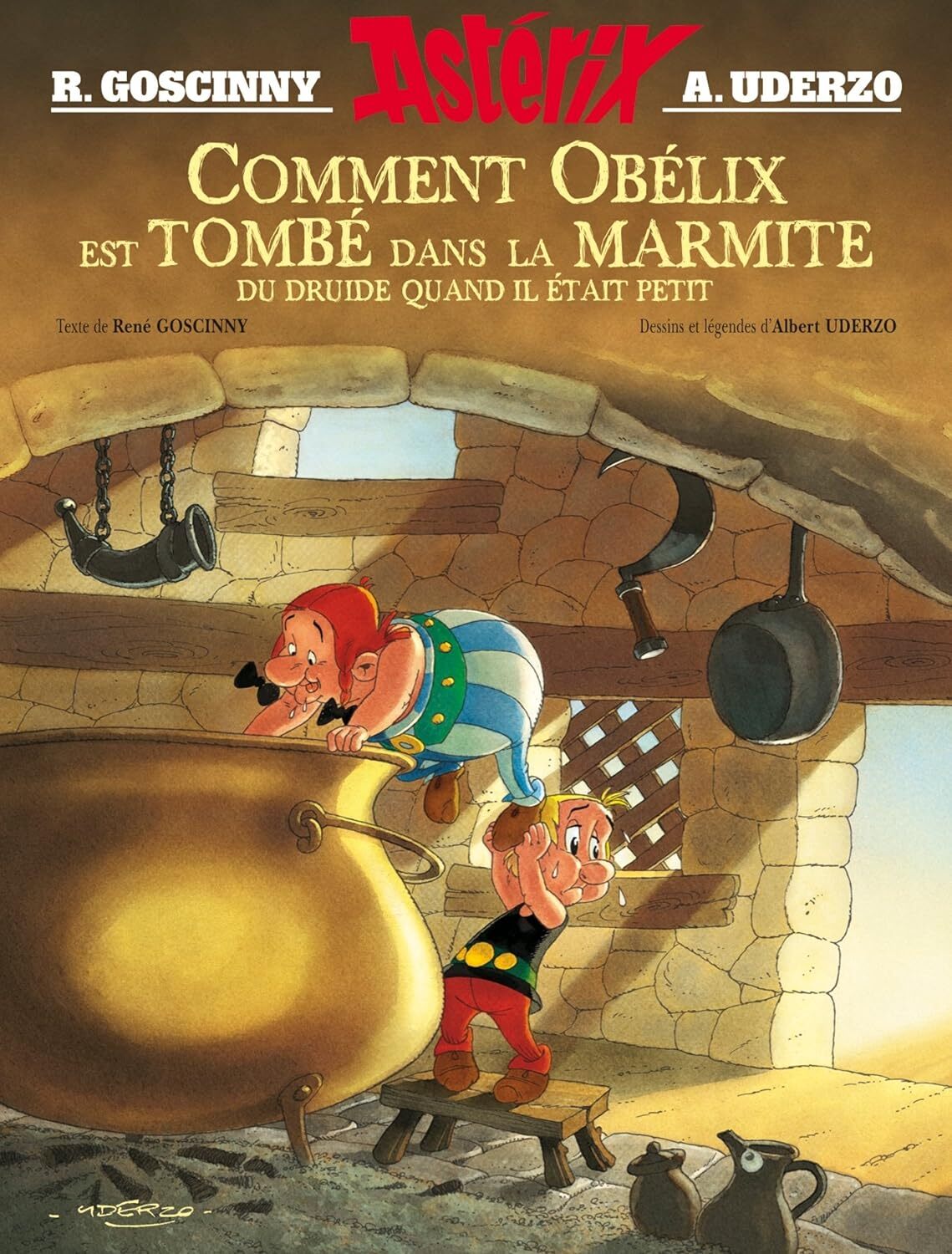 9782864972129 Comment Obélix est tombé dans la marmite du drui...es dessinées