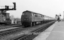 PHOTO  TYPE 4 CLASS 52 C - C DIESEL HYDRAULIC NO. D1010 WESTERN CAMPAIGNER WORKI