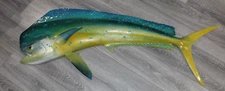53" Bull Dolphin Left Half Mount (Mahi) Replica -Fiberglass