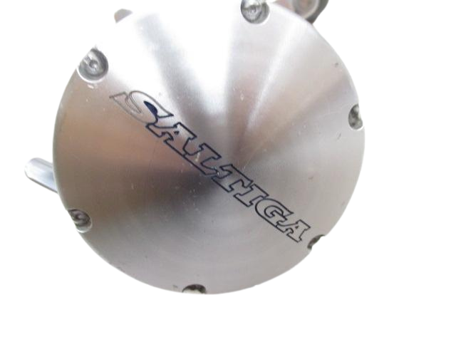 Daiwa Saltiga Z20 Baitcasting Spinning Reel for sale online | eBay