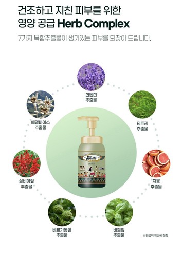 MUKUNGHWA Premium Dusch Körperseife Botanischer Garten 600ml Peeling Duschgel - Bild 7 von 11