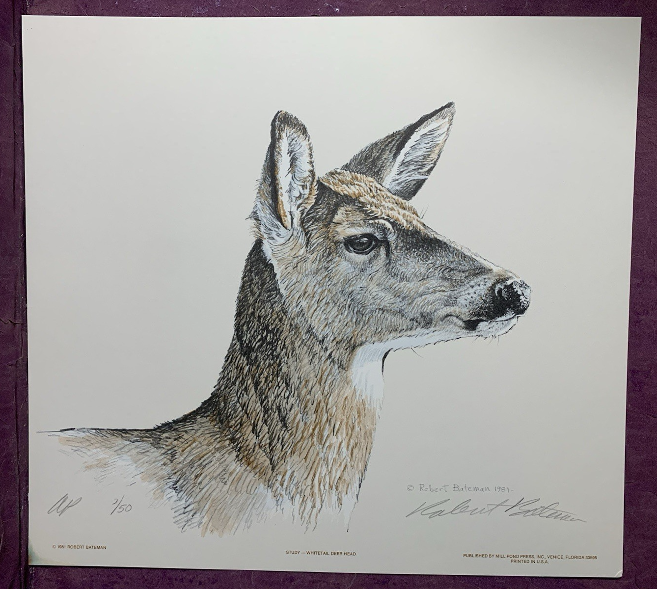Picture 16 of 24